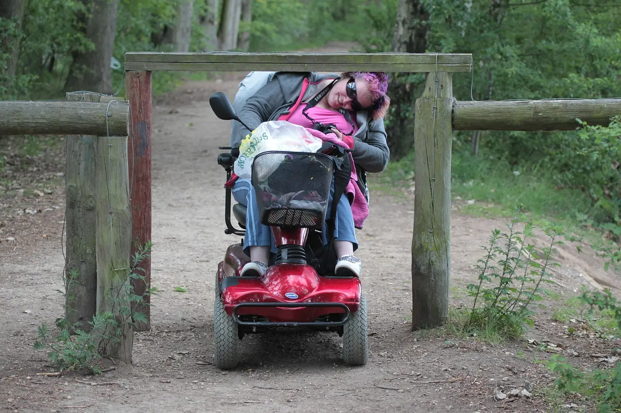 Person i rullstol, böjer sig under ett staket, vegetation.